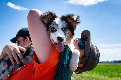 cutie dog photo.jpeg