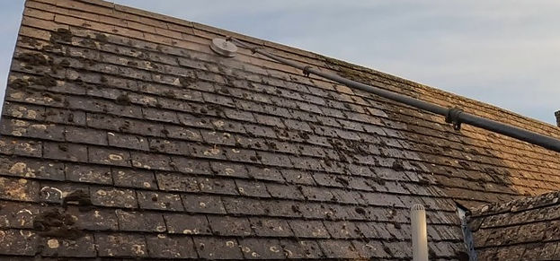roof power washing 3.jpg