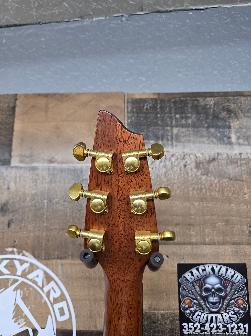 Thumbnail: Breedlove Atlas Series AD25/SM