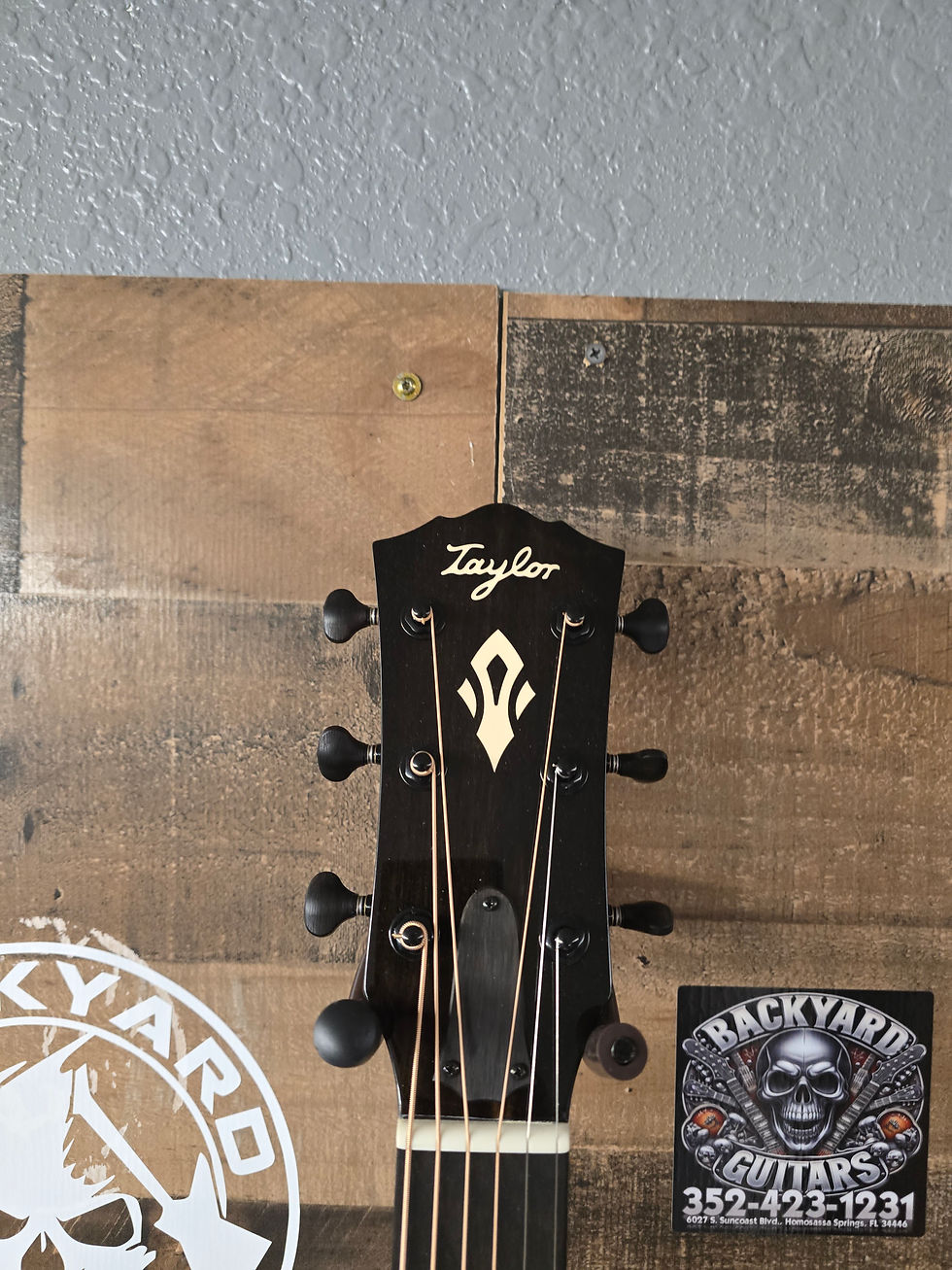 Thumbnail: Taylor Gold Label 514e