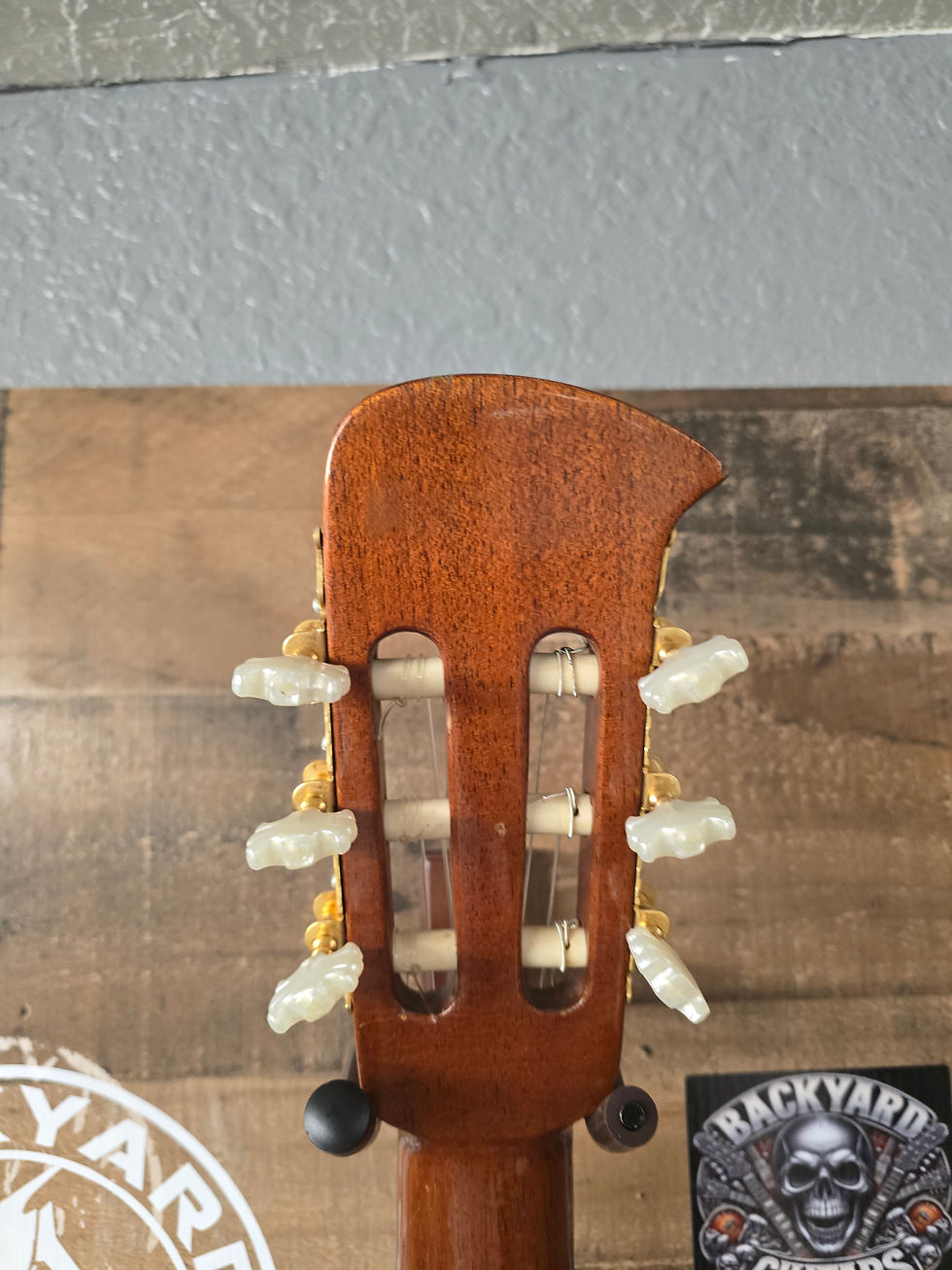 Thumbnail: Giannini Model 6N Classical