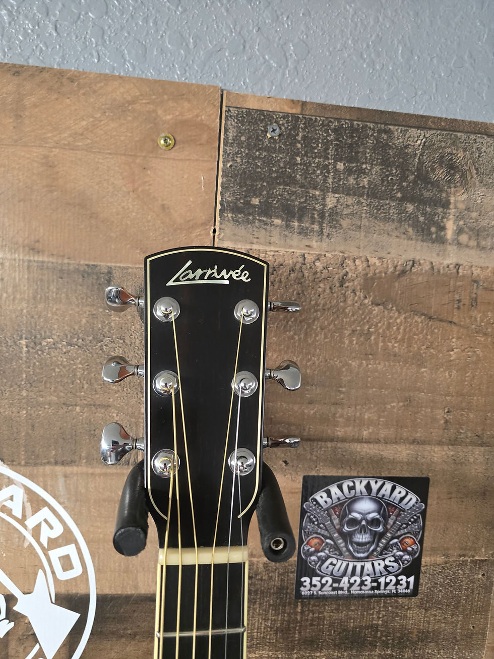 Thumbnail: 2003 Larrivee L-05