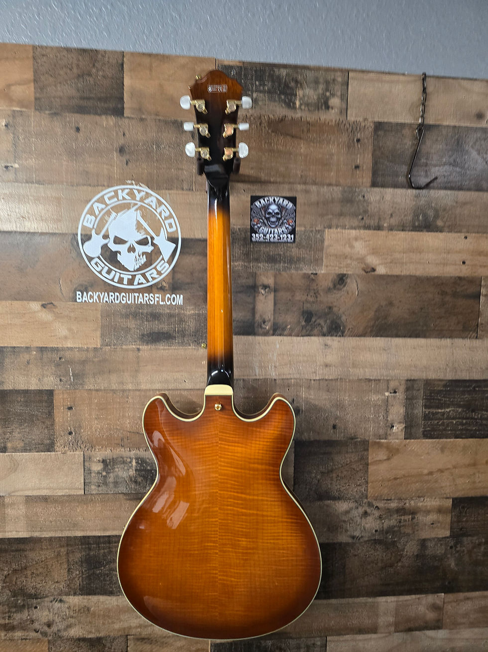 Thumbnail: IBANEZ AS93-VLS