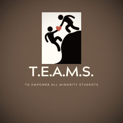 T.E.A.M.S_edited.jpg