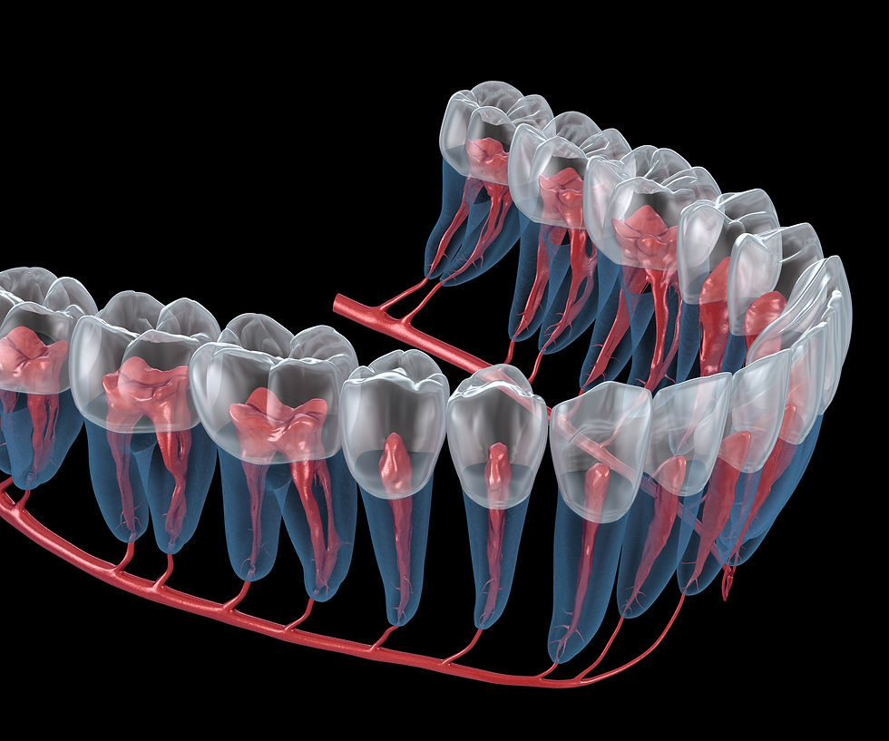 Teeth Graphic