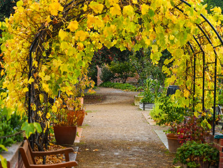 Tasmania in autumn - so many photographic opportunities