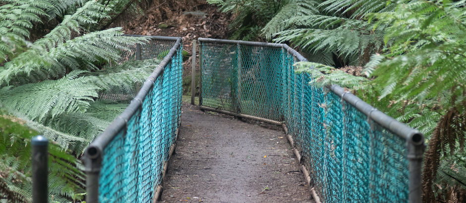 Getting up close with Gnomes and fungi in mushroom season in Tasmania