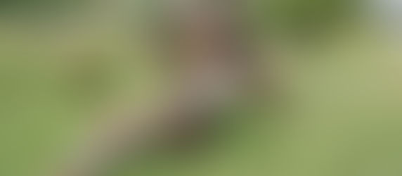 Photo excursions and experiments with timelapses