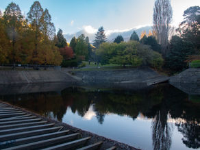Autumn colours along the Hobart Rivulet walk