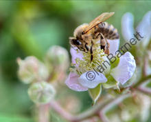 eZy Watermark_25-07-2023_19-14-48-6020.JPEG