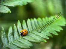 eZy Watermark_25-07-2023_19-14-44-6460.JPEG