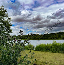 eZy Watermark_25-07-2023_19-14-50-3600.JPEG