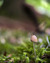 eZy Watermark_25-07-2023_19-14-42-6260.JPEG