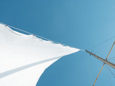 De vlag boven de mens — over nationalisme en het verraad dat wij normaal vinden
