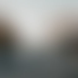 ​​Becoming a Trauma-Informed Peacemaker: My MA Journey as a South African