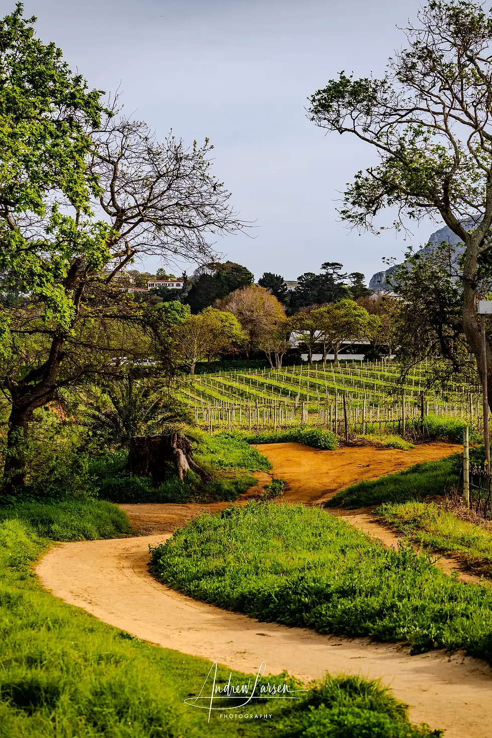 The beauty of the land kept raising questions about the land itself