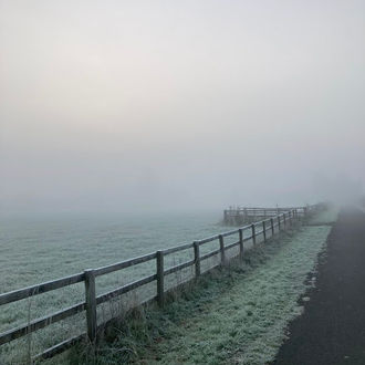 A School of Unlearning