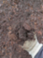 A handful of Dark Medium Grind Bark in a gray gloved landscapers hand