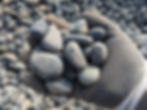 A landscaper's hand full of Mexican Beach Pebbles - 1/2" - 1" Black