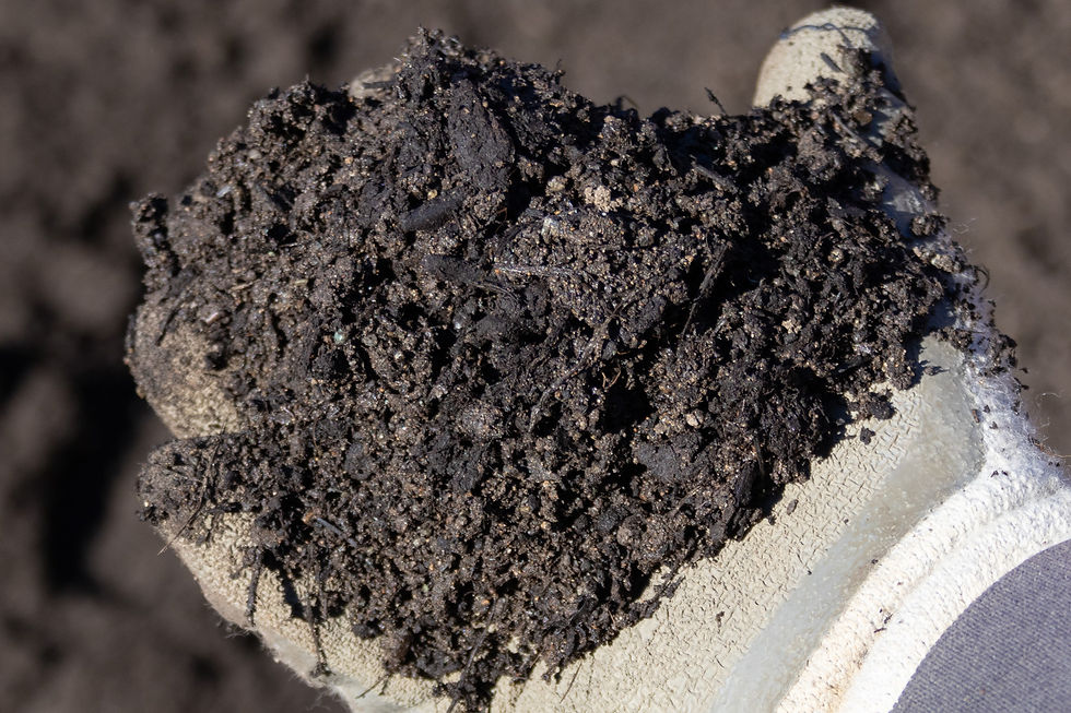 Thumbnail: Closeup of a vegetable gardener holding Super Veggie soil and compost