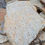 Thumbnail: A single piece of Goldrush Quartzite 1 - 1 1/2" patio showing the natural paver edges