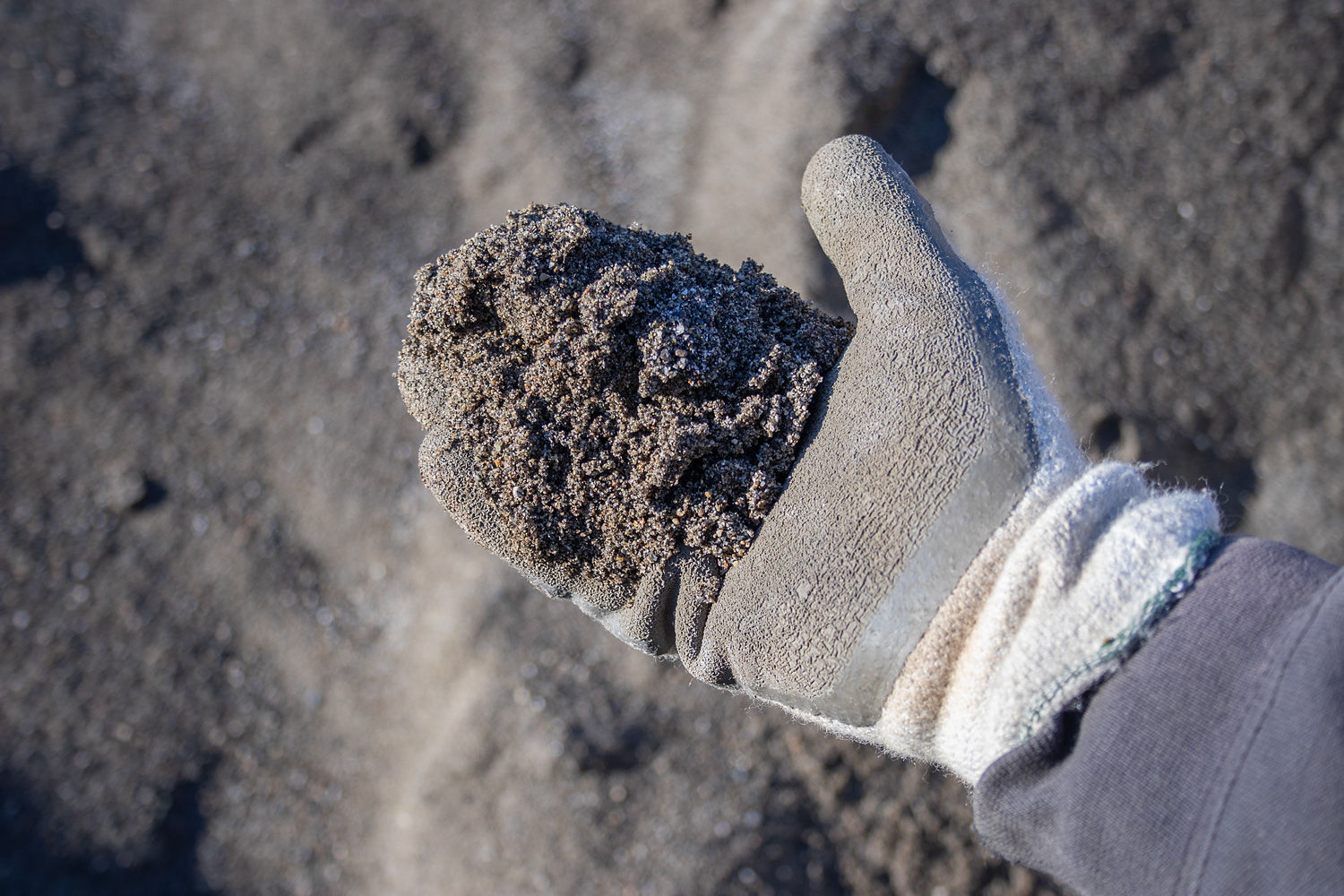 An image of a hand holding plaster / fine screened sand to show the product scale.