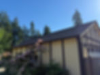 Roof + Gutter Cleaning & Moss Treatment