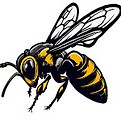 Hornet_edited.jpg