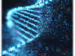 Discovery of DNA