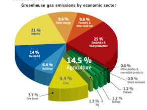 Alternative diets; can the reduction of meat in our diets change the planet?