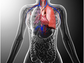 Artificial Organs
