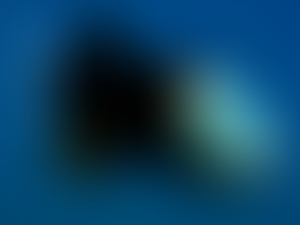 The remarkable Barreleye Fish and its transparent skull