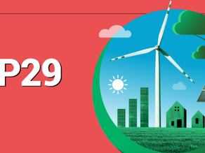 COP29: Saving the plant or just saving face?