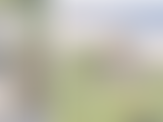New Delhi's Green Revival - Enerel