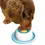 Thumbnail: Doggyman-Lick Ball Feeder For Dog[Doggyman-舔舔液体慢食器]