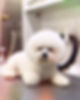 FE9EFCD9-C1FE-45A5-81DF-27ACB8DE7D13_edited.jpg