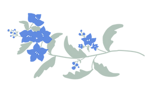 ダイヤライン_20230622182121500.png