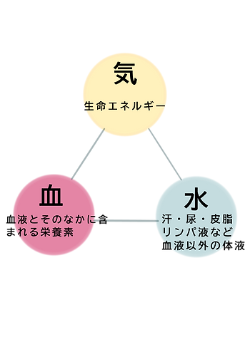 1無題98_20230612105250.png