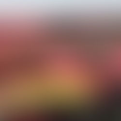 There Are Two Religions in Italy : There's the Catholic Church and There's Ferrari