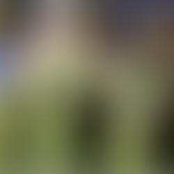 All I want for Christmas is…