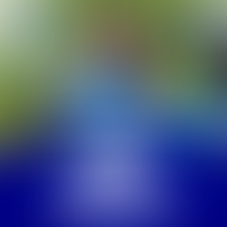 Mansfield Town 1-2 Posh | Alex Bass stands tall! | Mansfield waste chances | Leonard again ole ole!