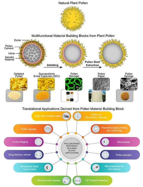 Applications of pollen microgels