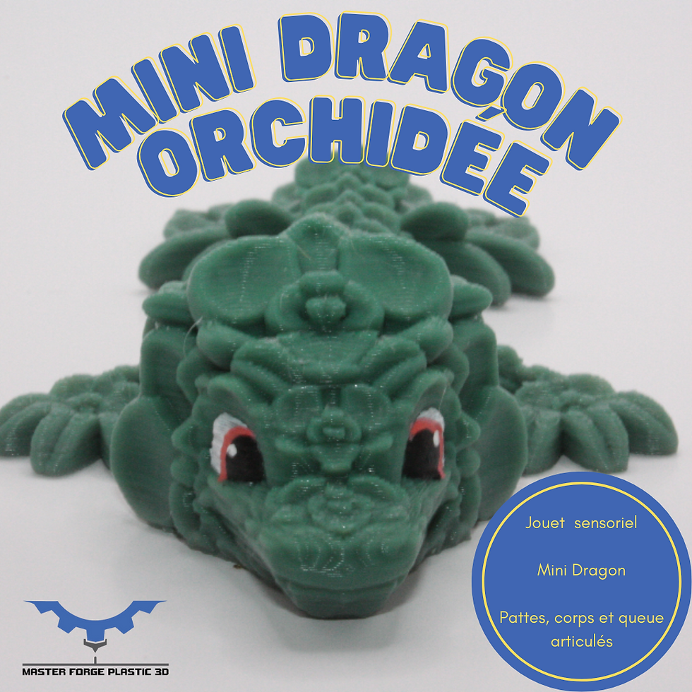 Miniature : Mini dragon orchidée