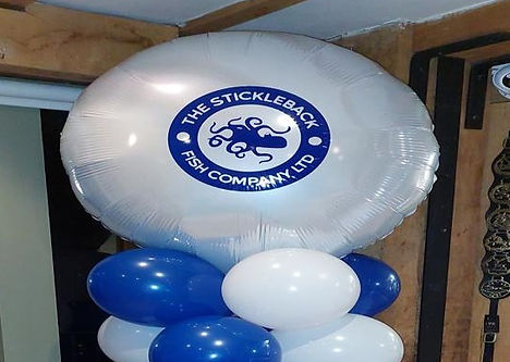 The Stickleback Fish Co Ltd