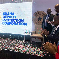 We Need Deposit Insurance Schemes To Maintain Financial Stability- BoG Boss