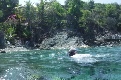 Excllent Snorkelng