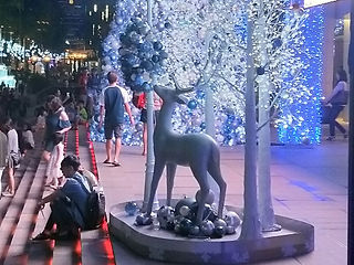 IMG20171123190352_edited