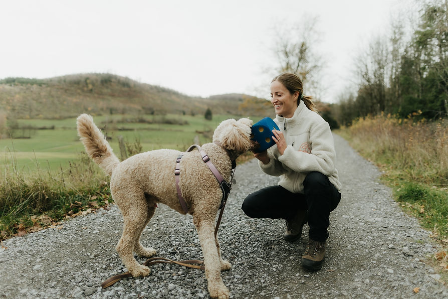 88 - SimsalabrinaFotografie-SoulDogs-88.jpg