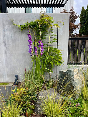 Patton Boulder_Wisteria.jpeg