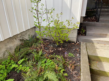 Patton Before 2b.jpeg